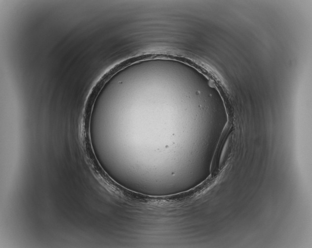 X0000116630880200912181323