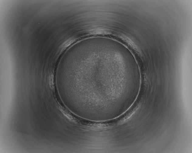 X0000116630881200912181323