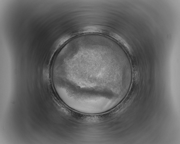 X0000116630882200912181323