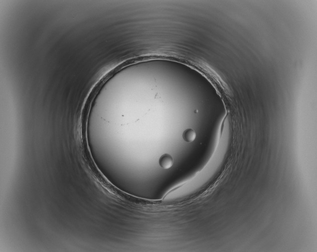 X0000116630884200912181323