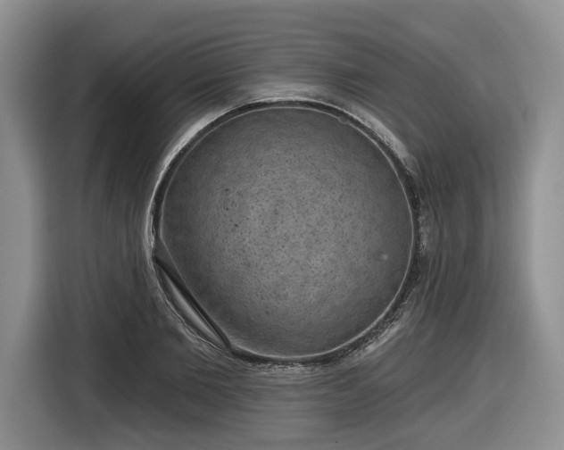 X0000116630885200912181323