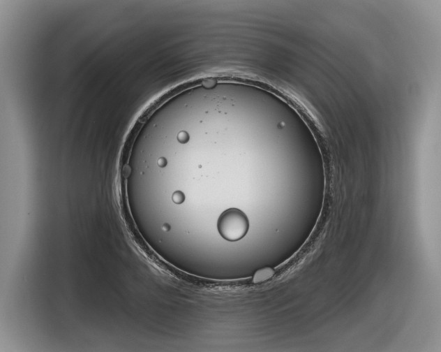 X0000116630888200912181323