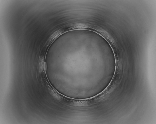 X0000116630889200912181323