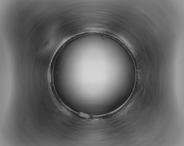 X0000116630891200912181323