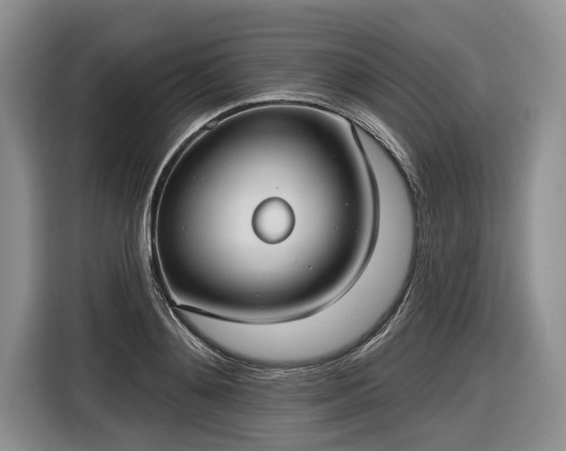 X0000116630892200912181323