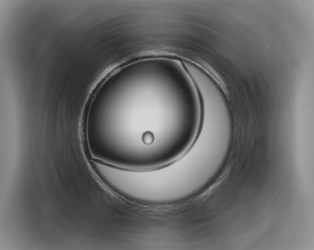 X0000116630893200912181322