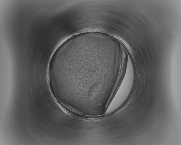 X0000116630894200912181322