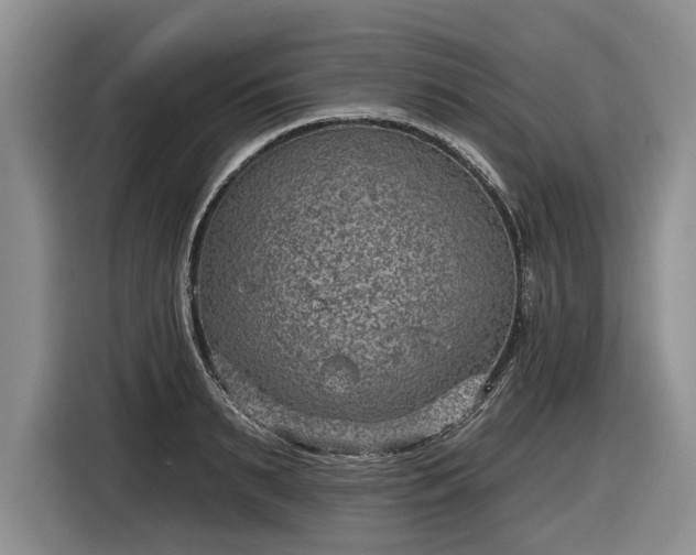 X0000116630895200912181322