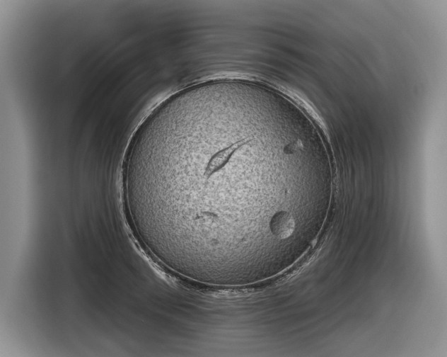 X0000116630898200912181322