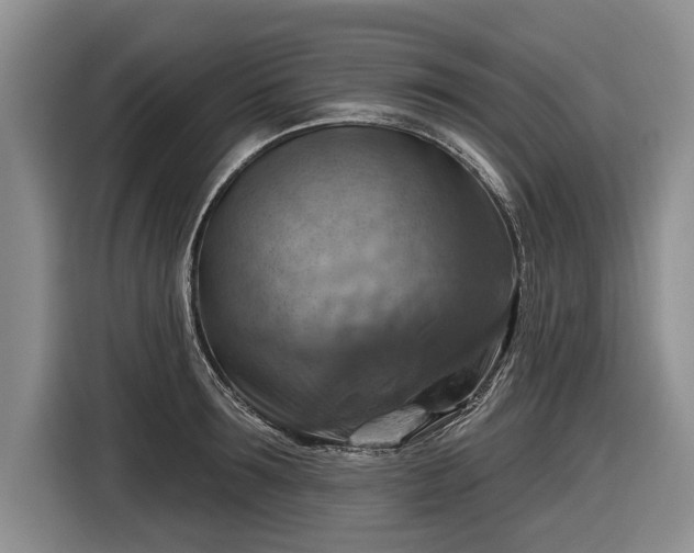 X0000116630899200912181322