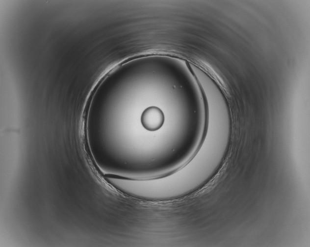 X0000116630900200912181322