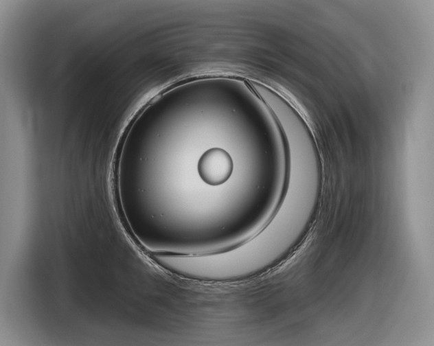 X0000116630901200912181322