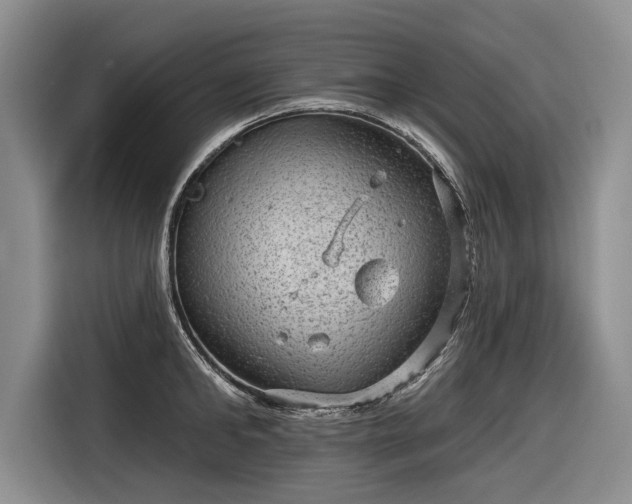 X0000116630902200912181322