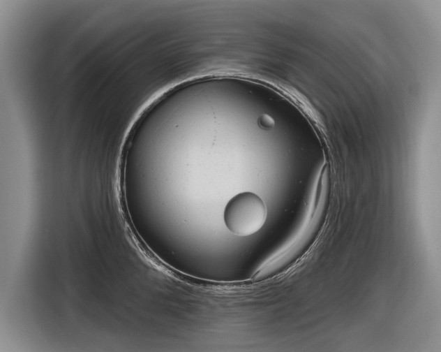 X0000116630904200912181322