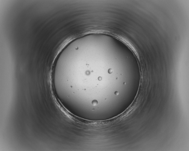 X0000116630906200912181322