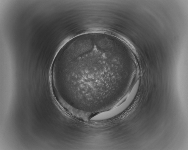 X0000116630907200912181322