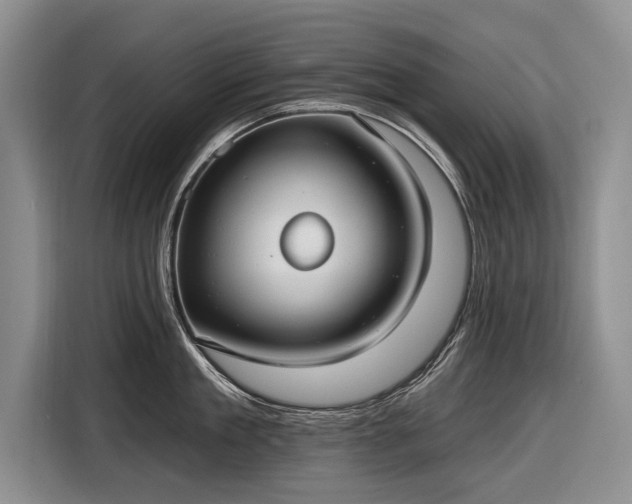 X0000116630909200912181322