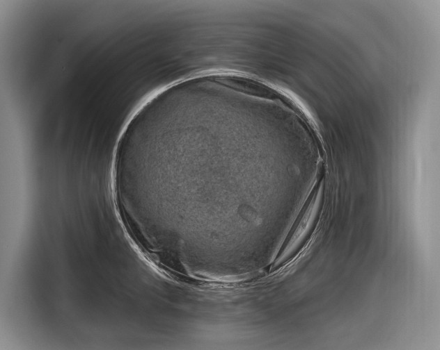 X0000116630910200912181322