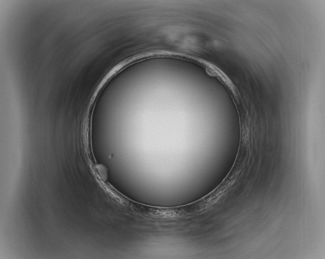 X0000116630911200912181322