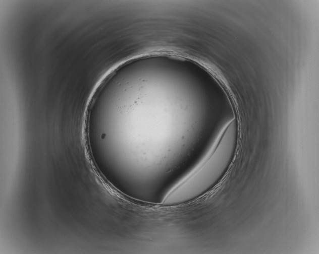 X0000116630912200912181322