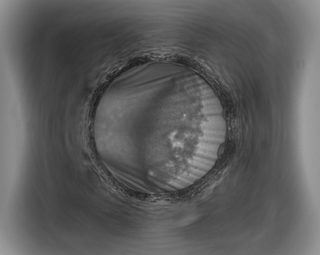 X0000116630913200912181322