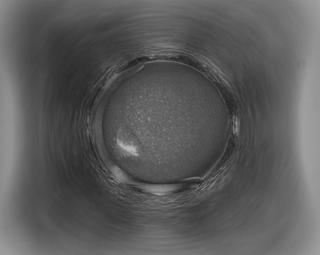 X0000116630915200912181322