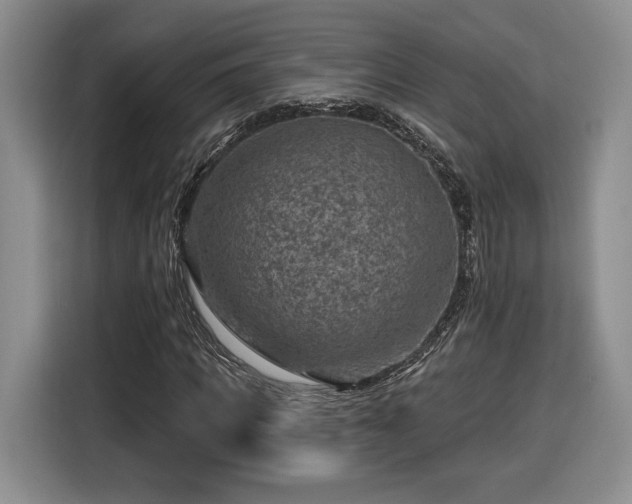 X0000116630917200912181322