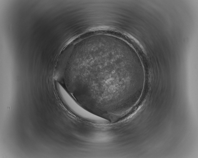 X0000116630921200912181322