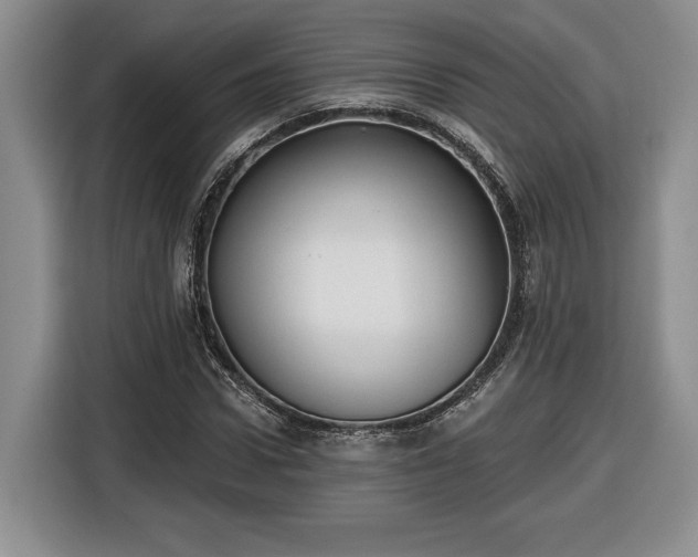 X0000116630922200912181322