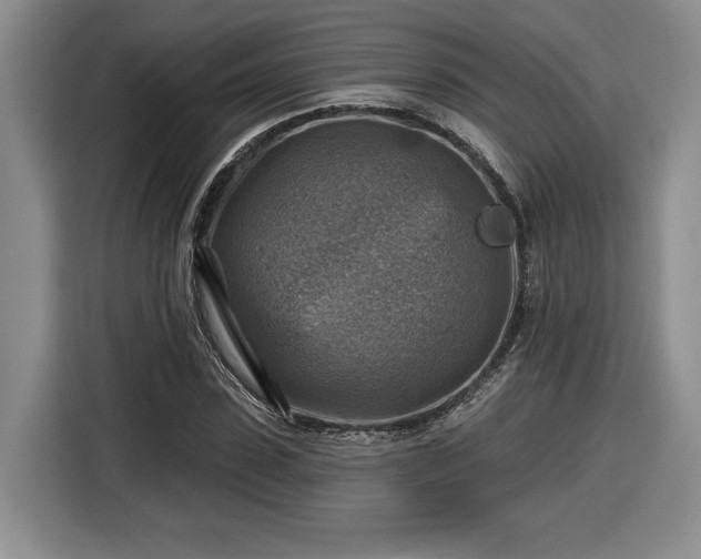 X0000116630923200912181322