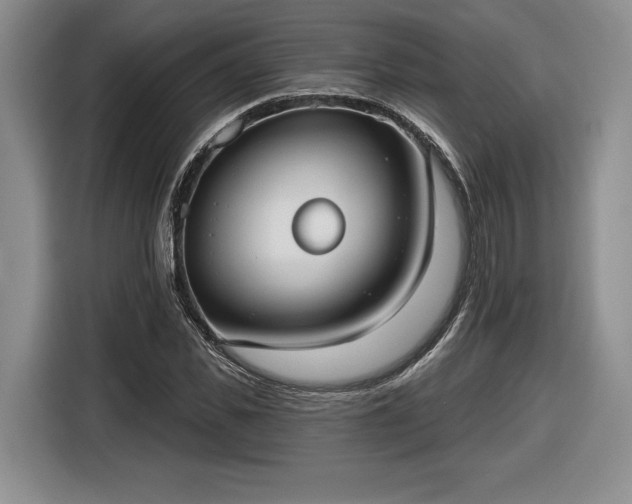 X0000116630925200912181322