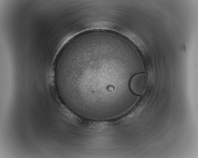 X0000116630926200912181322