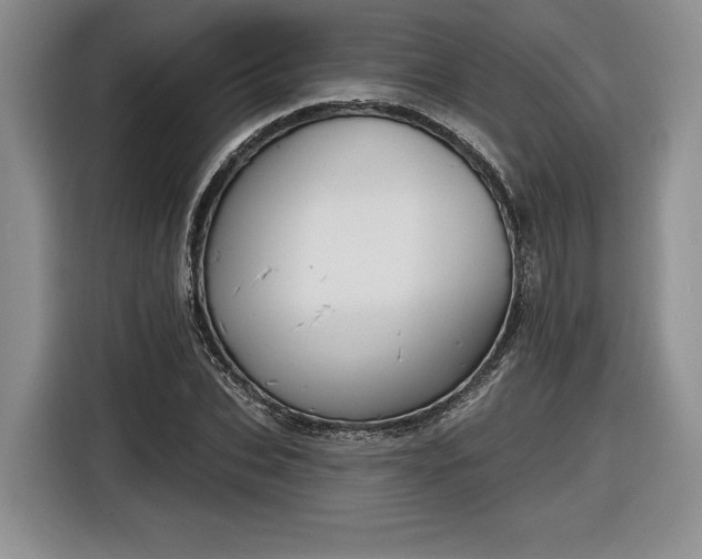 X0000116630927200912181322