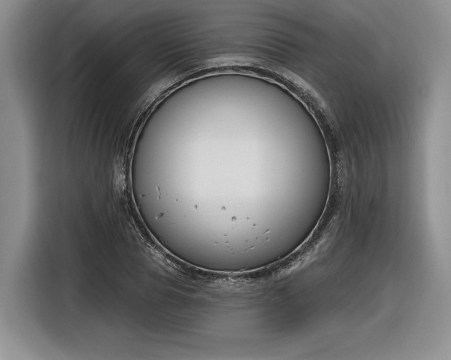 X0000116630929200912181322