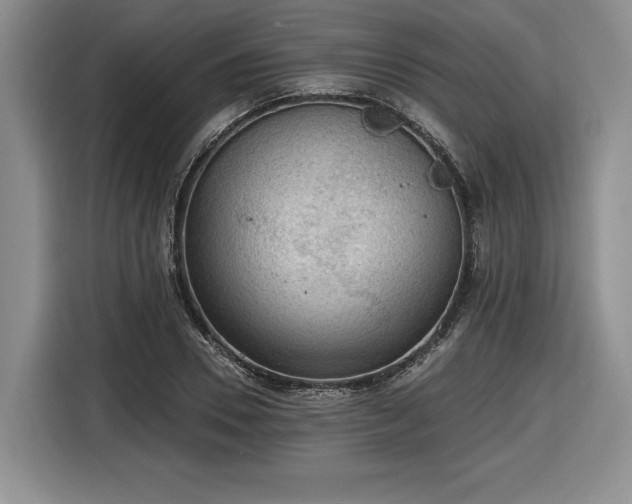 X0000116630930200912181322