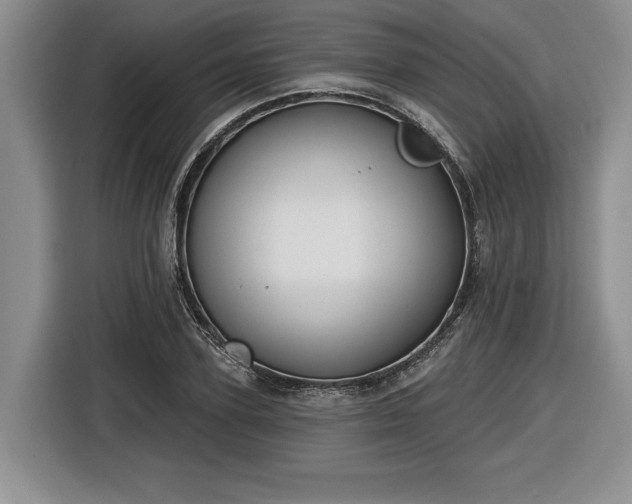 X0000116630931200912181322