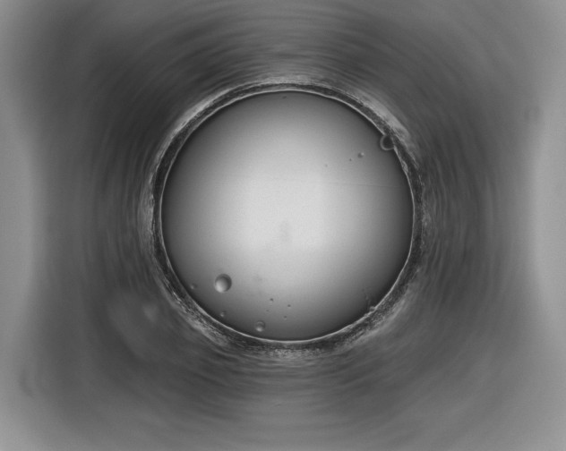 X0000116630933200912181322