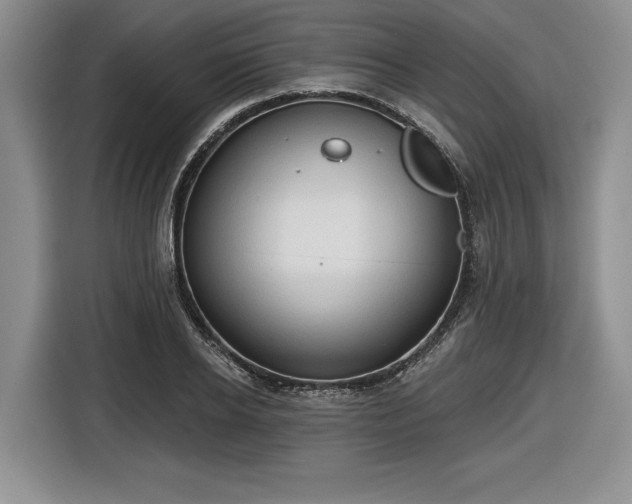 X0000116630934200912181322