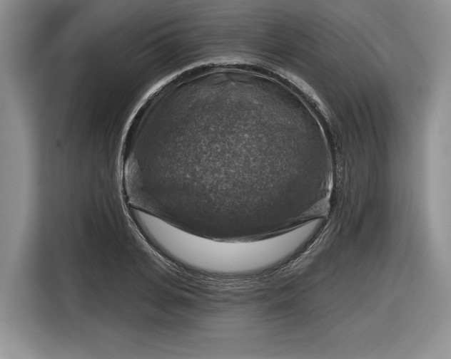 X0000116630935200912181322