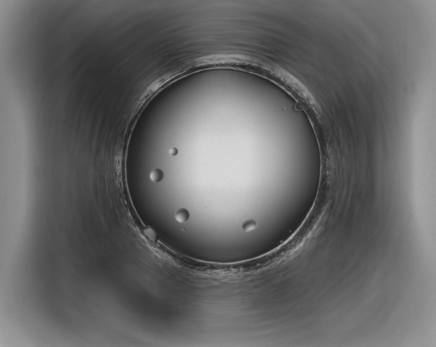 X0000116630937200912181322