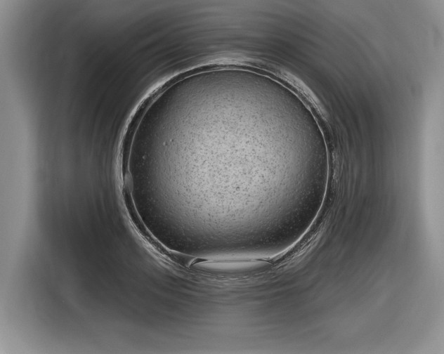 X0000116630939200912181322