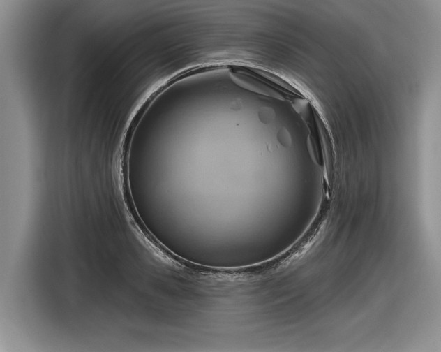 X0000116630941200912181322