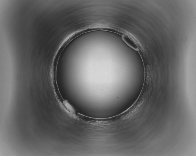 X0000116630942200912181322