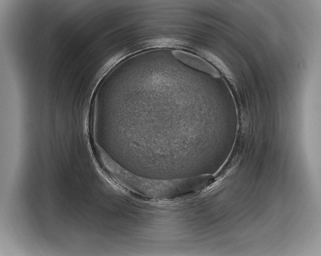 X0000116630946200912181322