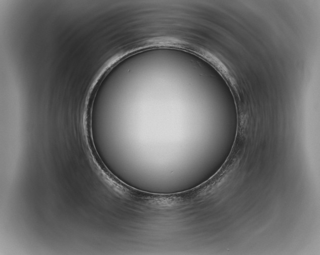 X0000116630947200912181322