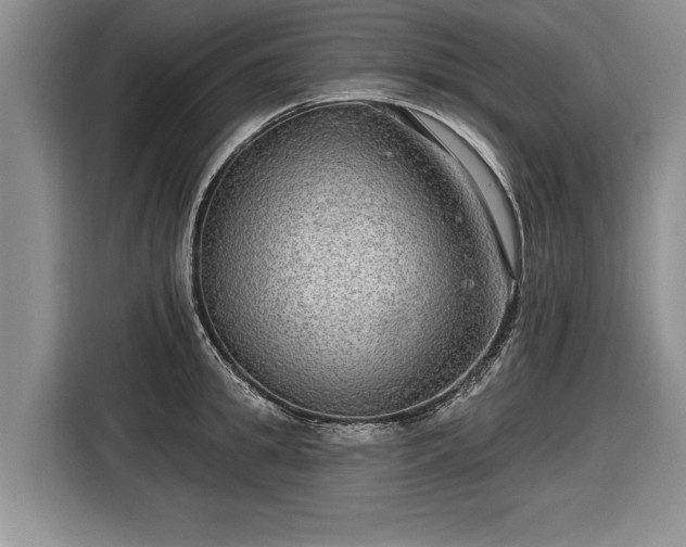 X0000116630949200912181322