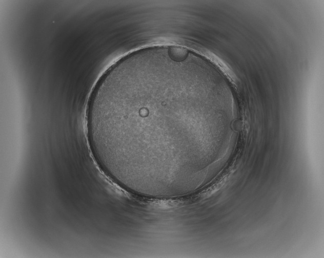 X0000116630950200912181322