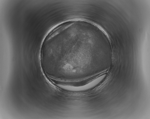 X0000116630951200912181322