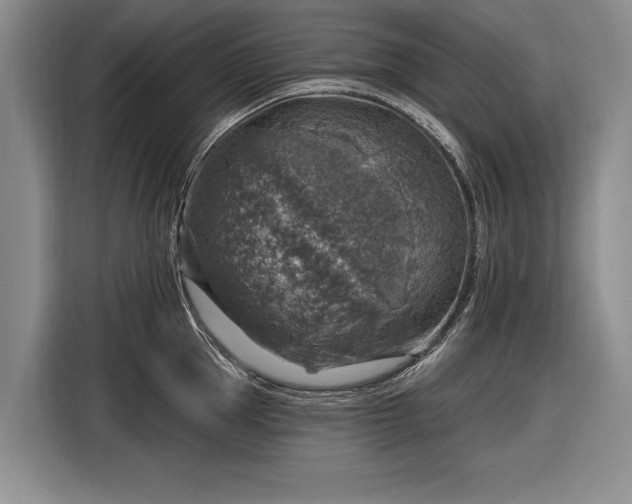 X0000116630953200912181322