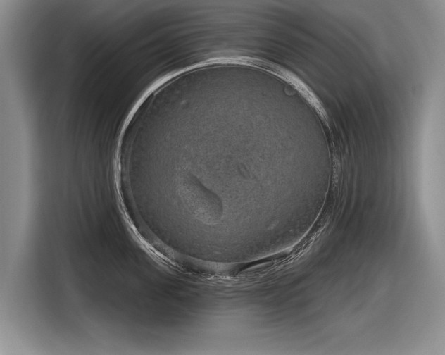 X0000116630955200912181322